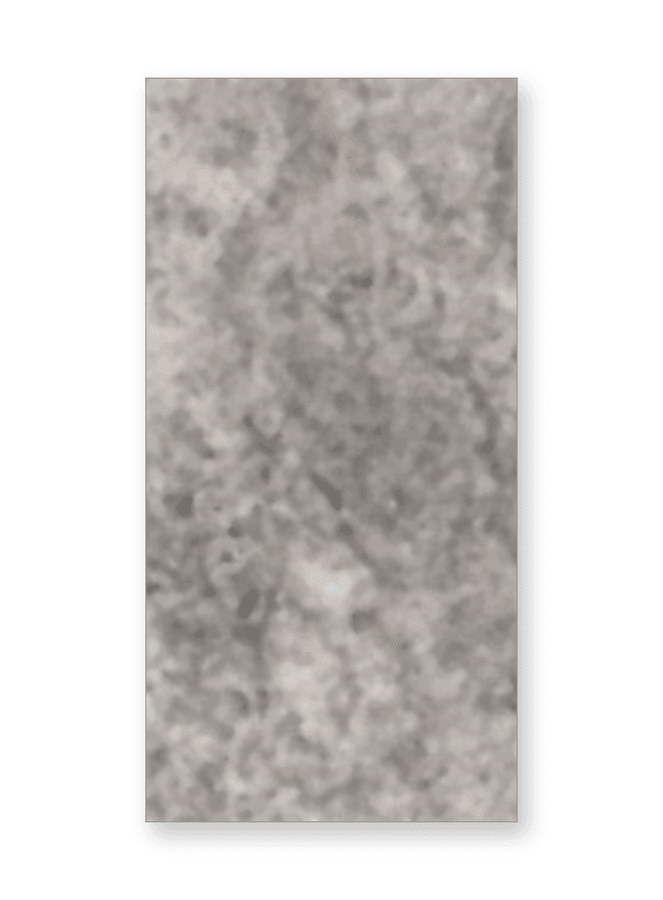 12 × 24 — Silver Latte