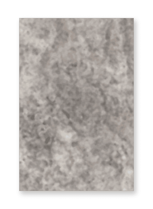 16 × 24 — Silver Latte