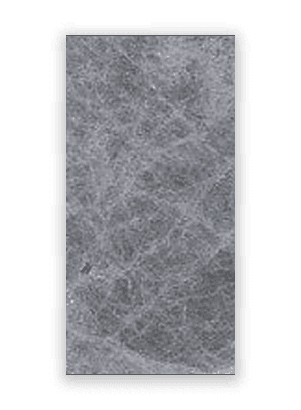 12 × 24 — Silver Shadow