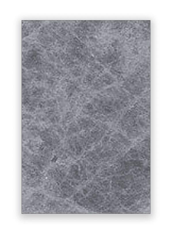 16 × 24 — Silver Shadow