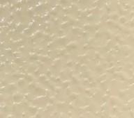 Almond Stucco