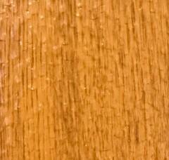 Golden Oak Stucco