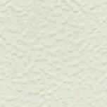 White Stucco